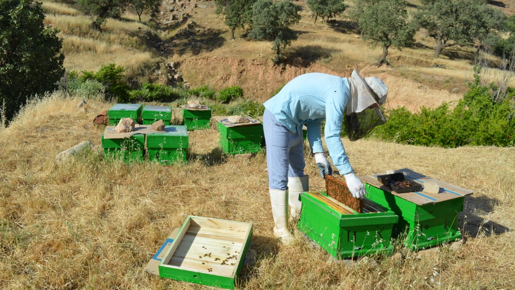 This Year 800 Barakat Foundation’s Job Creation Projects with 720 billion rials Credit Completed in the Kohgiloyeh-Boyerahmad Province 