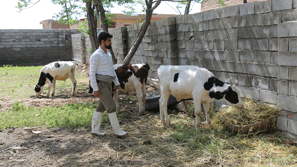 2000 Barakat Foundation’s Job Creation Projects Are Operationalized in Golestan Province with 1800 billion Rials by the Yearend